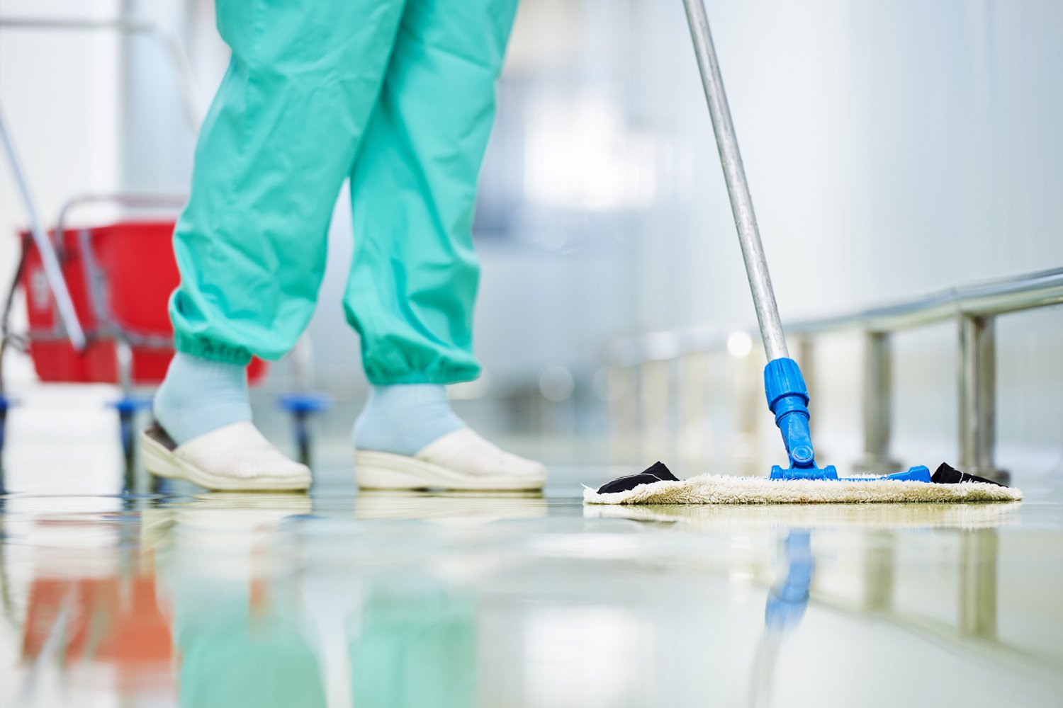Floor care and cleaning services with washing mop in sterile factory or clean hospital